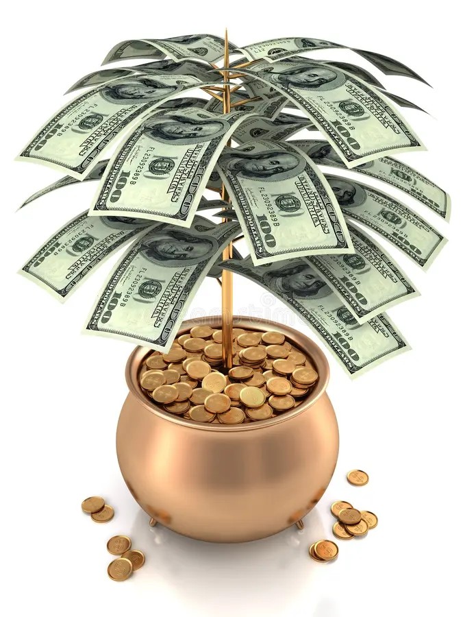 Revenue or Venture Capital